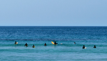 people who do surfing. サーフィンをする人たち