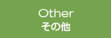 Other その他