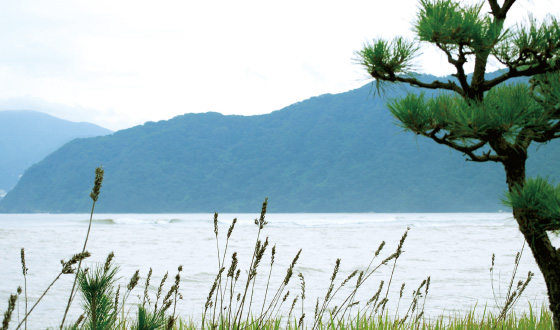 photo of Tangoyura. 丹後由良の写真