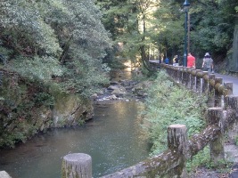 箕面の山道